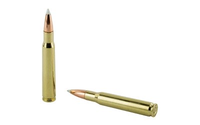 NOSLER 30-06 165GR AB 20/200 - Image 4
