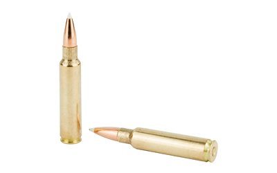 NOSLER 33NOS 225GR AB 20/200 - Image 4